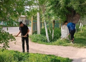« Азаматтарға арналған үкімет » мемлекеттік корпорациясы «Таза Қазақстан» экологиялық акциясын қолдайды.