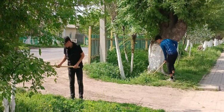 « Азаматтарға арналған үкімет » мемлекеттік корпорациясы «Таза Қазақстан» экологиялық акциясын қолдайды.