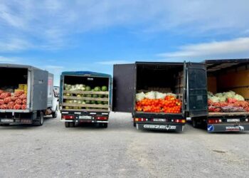 ЖӘРМЕҢКЕГЕ 200 ТОННАДАН АСТАМ ӨНІМ ЖӨНЕЛТІЛДІ