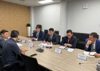 ТҮРКІСТАН: ОБЛЫС ӘКІМІНІҢ ОРЫНБАСАРЫ ТҮРКИЯЛЫҚ ИНВЕСТОРМЕН КЕЗДЕСТІ