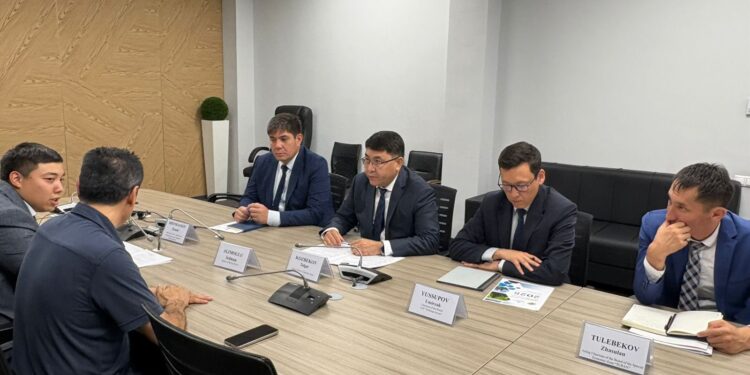 ТҮРКІСТАН: ОБЛЫС ӘКІМІНІҢ ОРЫНБАСАРЫ ТҮРКИЯЛЫҚ ИНВЕСТОРМЕН КЕЗДЕСТІ