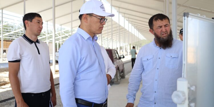 ТҮРКІСТАН: ТӨЛЕБИДЕ ТАУАРЛЫ СҮТ ФЕРМАСЫ ІСКЕ ҚОСЫЛАДЫ