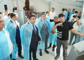 Түркістан облысында жаңадан 100 жұмыс орны құрылды
