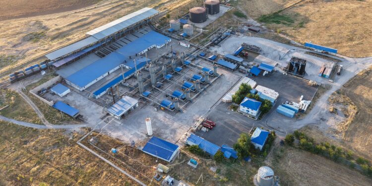 ТҮРКІСТАН: ТӨЛЕБИ АУДАНЫНДА ӨНДІРІС ОРЫНДАРЫ ДАМЫП КЕЛЕДІ