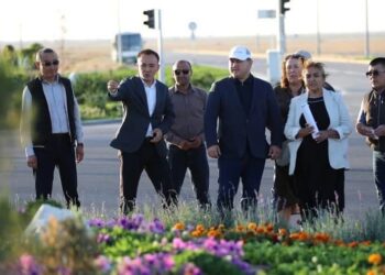 КӨГАЛДАНДЫРУ ЖОБАЛАРЫ ЖАНДАНУДА