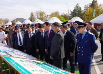 Ордабасыда «Алтын күз – 2025» өтті
