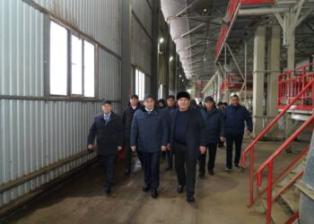 ТҮРКІСТАН: ЭКОНОМИКАНЫ КӨТЕРЕТІН КӘСІПОРЫНДАР КӨБЕЙЮДЕ