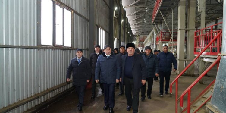 ТҮРКІСТАН: ЭКОНОМИКАНЫ КӨТЕРЕТІН КӘСІПОРЫНДАР КӨБЕЙЮДЕ