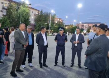 ТҮРКІСТАН ОБЛЫСЫНДА ТҮЛЕКТЕР ҚАУІПСІЗДІГІ БАСТЫ НАЗАРДА!