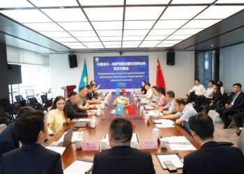 ТҮРКІСТАН ОБЛЫСЫ ДЕЛЕГАЦИЯСЫ ҚЫТАЙДЫҢ ІРІ ИНВЕСТОРЛАРЫМЕН КЕЛІССӨЗ ЖҮРГІЗДІ
