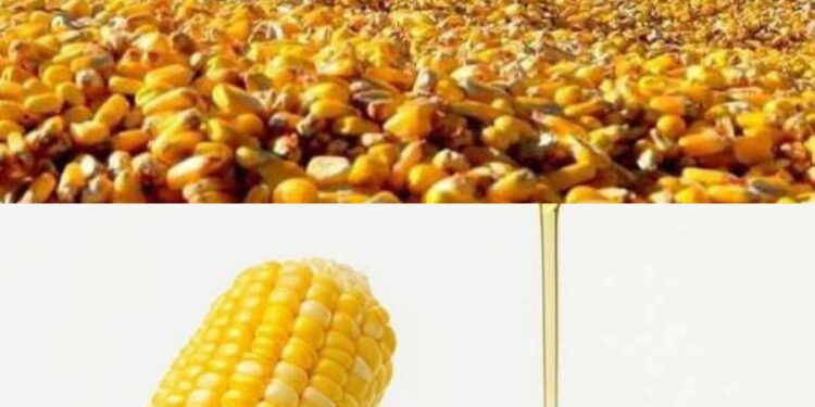 Түркістан: Өңірде экономикалық тұрақты өсім бар.