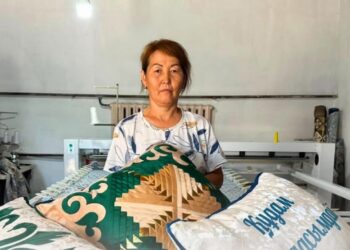 КЕНТАУДА МЕМЛЕКЕТ БАСШЫСЫ АЙҚЫНДАҒАН ҰЛТТЫҚ БАСЫМДЫҚТАР БОЙЫНША ЖҮЙЕЛІ ЖҰМЫС АТҚАРЫЛУДА