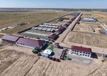 САУРАНДА АГРОӨНЕРКӘСІП ПЕН КРЕАТИВТІ ИНДУСТРИЯНЫҢ ЖАҢА ҮЛГІСІ ҚАЛЫПТАСУДА