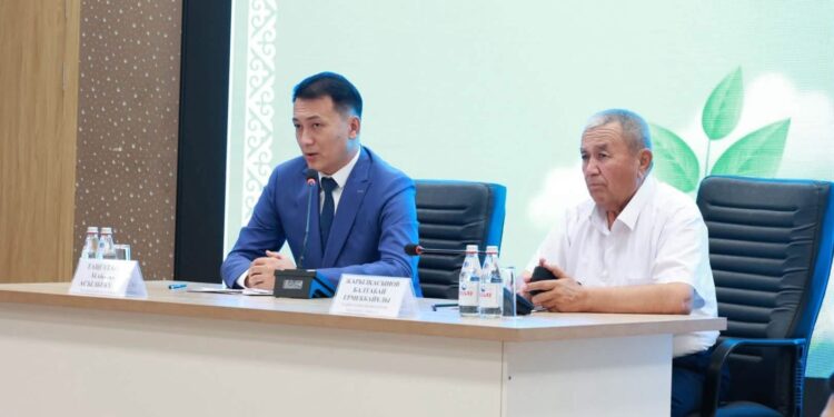 САЛАУАТТЫ АУЫЛ – САНАЛЫ ТАҢДАУ: САУРАНДА 20 АУЫЛ АРАҚТАН БАС ТАРТТЫ