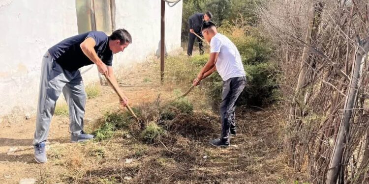 «ТАЗА ҚАЗАҚСТАН» – ҚОРШАҒАН ОРТАНЫ ҚОРҒАУҒА БАҒЫТТАЛҒАН ИГІ ІСТЕР
